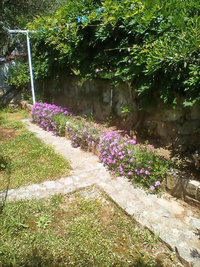 Apartman-Maja-Krk Krk Town Εξωτερικό φωτογραφία